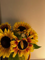 Sunflower (funky frame limited edition)